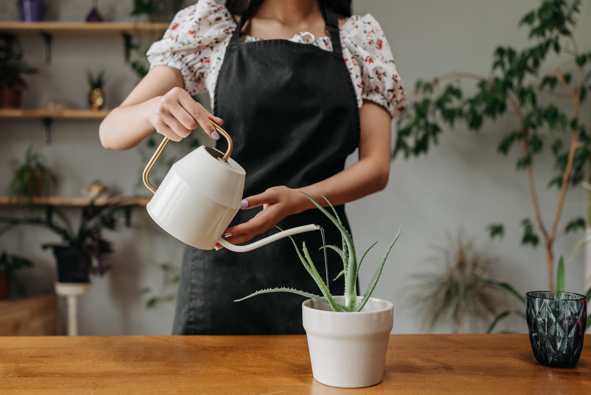 woman in black and white floral dress holding white ceramic mug